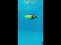 Povandeninins dronas Chasing Dory