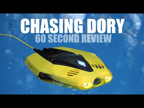 Povandeninins dronas Chasing Dory video