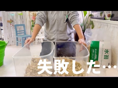 庭からカエルを追い払い、プールに入らないようにするにはどうすればよいでしょうか?  庭園