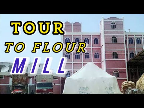 Tour To a Flour Mill I How is flour produced??  I Pakistan Biggest Mill I LUH-Vlogs