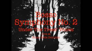 Ezio Bosso Symphony No. 2, Under Trees' Voices Between Man and Trees HD