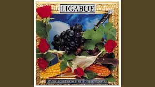 Ligabue - Anime in plexiglass (Remastered) - HQ