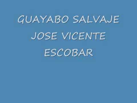JOSE VICENTE ESCOBAR GUAYABO SALVAJE.wmv