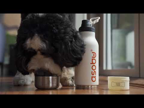 asobu Dog Buddy Bottle a Stainless Steel Insulated Water Bottle for a Human with 2 Remo