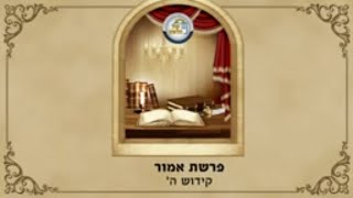 הרב מנחם מנדל פומרנץ | שיעור בפרשת השבוע פרשת אמור תש"פ חלק א' •  קידוש השם •