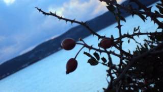 Rebecca Martin - Dindi