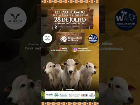 LEILÃO GADO DE CORTE - SINDICATO RURAL DE MINAÇU GO - 04/08/2026