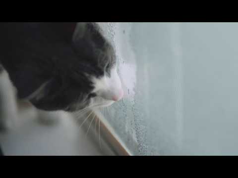 Charlie's Masterpiece - Fuji X-T3 4k - Xeen 50mm T1.5