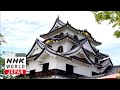 SAMURAI CASTLES: Hikone Castle - Time and Tide