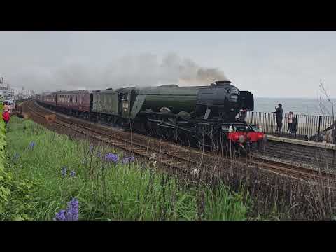 Flyinging Scotsman passing Dawlish 30th April 2023