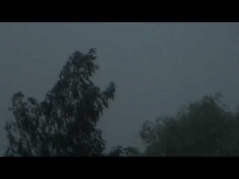 Černá mutace - the whistle