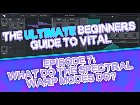 The ULTIMATE Guide To Master Vital - Spectral Warp Modes