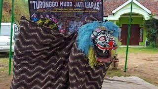 Download lagu Janturan barong turonggo mudo jati laras panjang selogiri karanggayam kebumen mp3