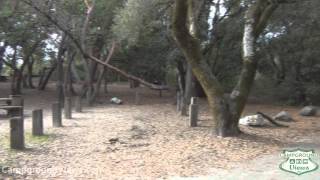 preview picture of video 'CampgroundViews.com - Henry Cowell Redwoods State Park Campground Scotts Valley CA California'