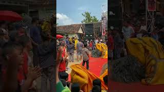 Download lagu barongan satrio manunggal singo manis live desa kumpulrejo mp3 Download lagu barongan satrio manunggal singo manis live desa kumpulrejo mp3