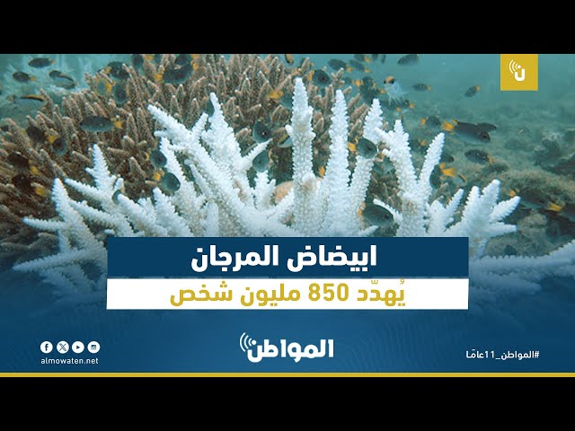 ابيضاض المرجان يُهدّد 850 مليون شخص