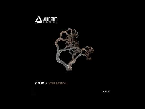 QNUM - Soul Forest EP (Audio Stuff)