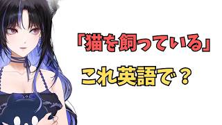 ホロライブで英語学習【"猫を飼っている"これ英語で言うと？】#英語学習  #英語 #ホロライブENGLISH