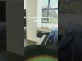 Luke Hemmings singing The Girl Who Cried Wolf (from his instagram story)