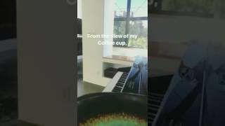 Luke Hemmings singing The Girl Who Cried Wolf (from his instagram story)