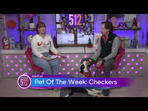 MedVet Pet Of The Week: “Checkers”, From Texas Humane Heroes - YouTube