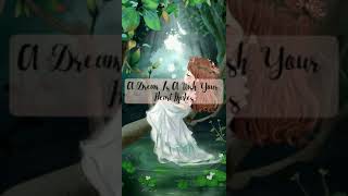 A Dream Is A Wish Your Heart Makes - Christina Perri