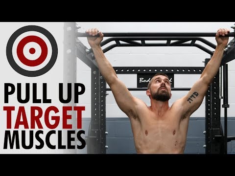 download lagu mp3 mp4 Hammer Pull Ups Muscles Worked, download lagu Hammer Pull Ups Muscles Worked gratis, unduh video klip Hammer Pull Ups Muscles Worked