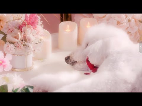 Beyond the rainbow bridge