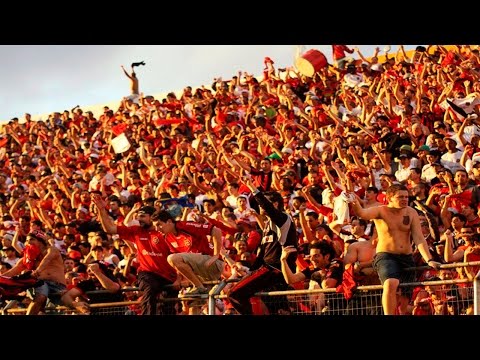 Avante com todo Esquadrão - Brasil de Pelotas [Leg (EN/PT)]