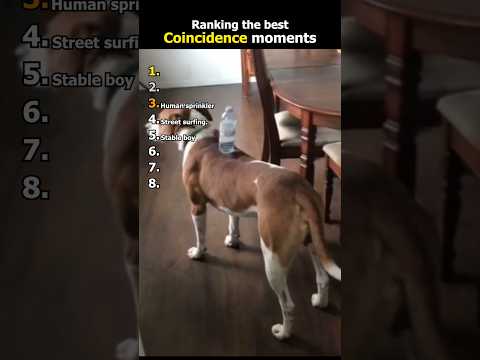 Ranking the best coincidence moments.