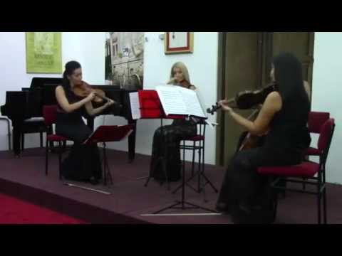 Benjamin Britten - Simple simphony - Playful pizzicato - Gudački kvartet MISS