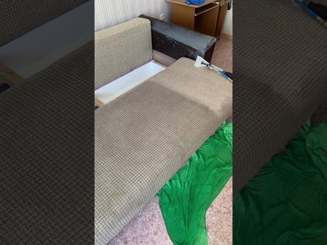 Сколько грязи в диване до чистки?!