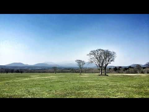 John wick In My Mind   M86 ft  Susie Q Soundtrack  Song mp3