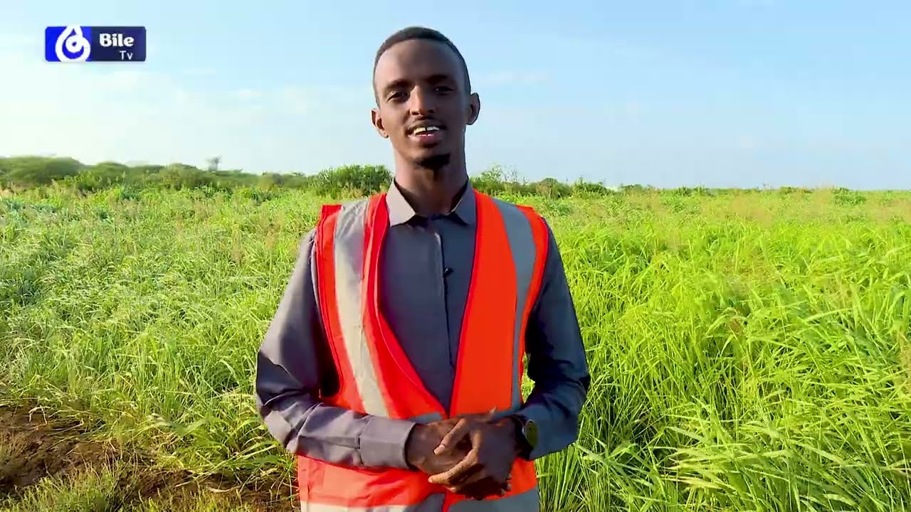 Aqoonyahanka ka Ganacsada Cawska xoolaha ay cunaan.