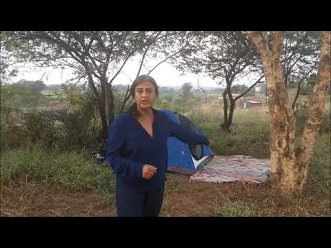 Adiem Kaanan _ Sustainability Forestry .