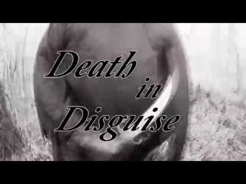Ire Clad - Death in Disguise