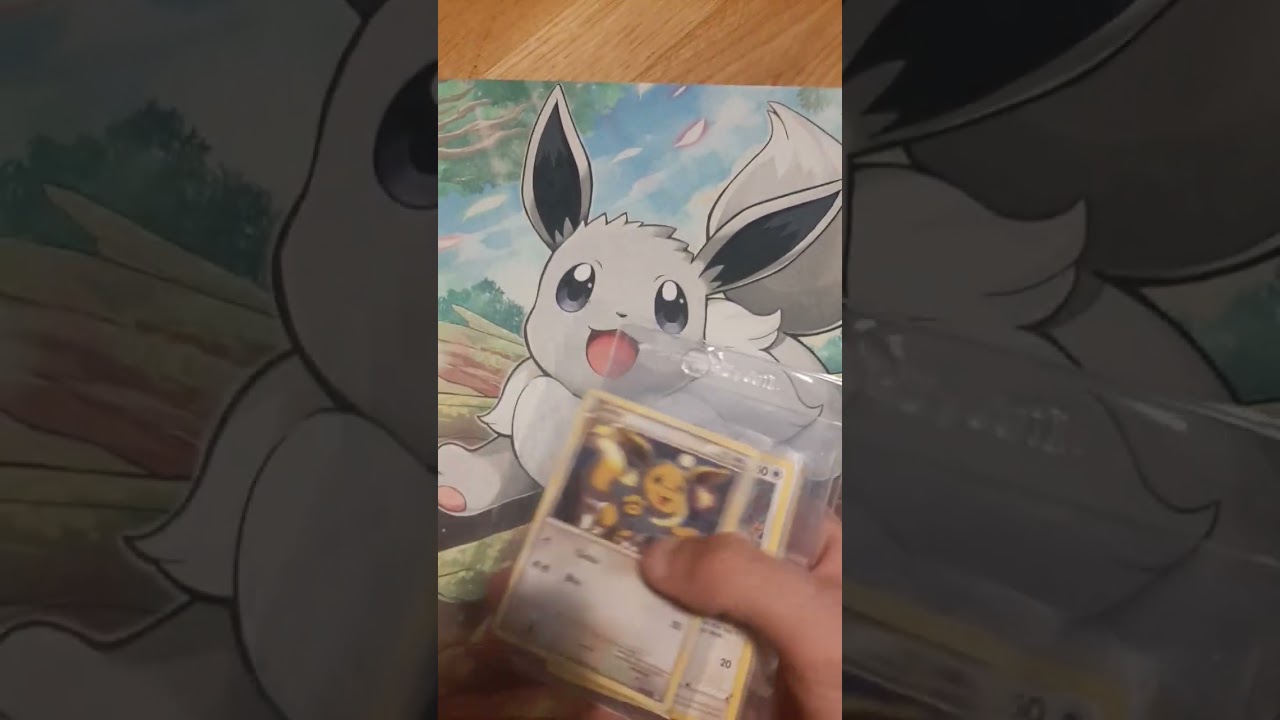 My non binder eevee collection. And what a great pocket monster she is 😁