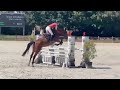 Jument très concours