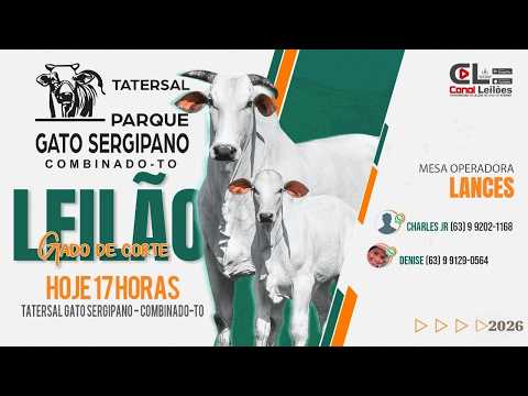 LEILÃO ESPECIAL DO PECUARISTA PARQUE DE LEILÕES GATO SERGIPANO | COMBINADO-TO 17/07/2026
