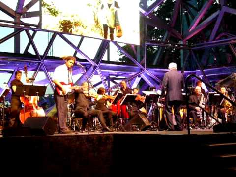 Ash Grunwald - Mojo at APRA Screen Music Awards 2010