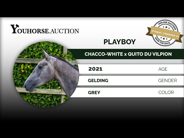 Playboy