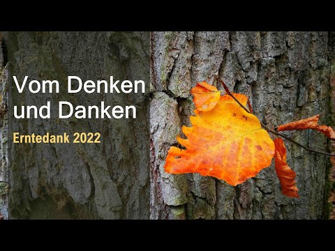 Vom Denken und Danken • Dietrich Ebeling • 02.10.2022