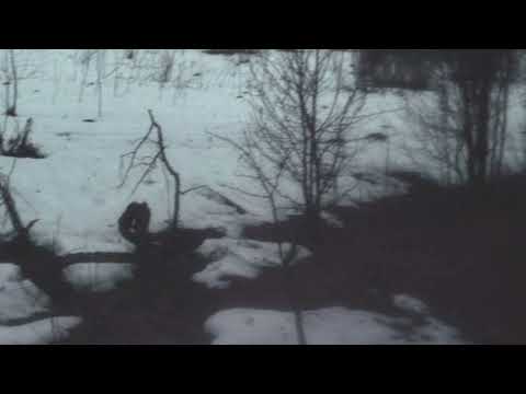 [free] midwest emo + ways + fats'e type beat - "inspirational" (prod. wisssery)