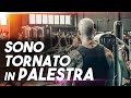 SONO TORNATO IN PALESTRA