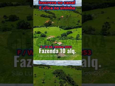 Fasendinha de 10 alqueires em São Luís de Montes Belos #brasil #fazenda #agro #gado #pecuarista