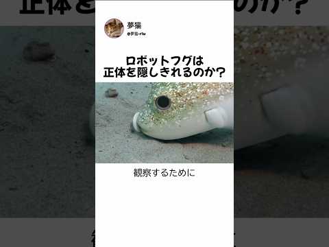ロボットフグは正体を隠しきれるのか？