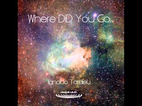 Ignacio Tardieu - Where DID You Go
