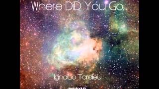 Ignacio Tardieu - Where DID You Go