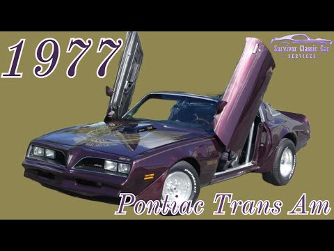 1977 Pontiac Firebird Trans Am (CC-1898302) for sale in Palmetto, Florida