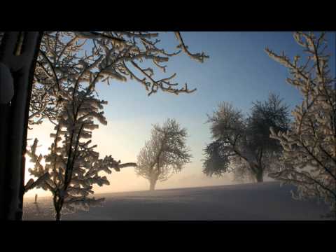 Sanni Täter - Titel Niek Bekend